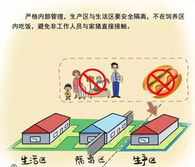 網傳全省禁止生豬跨市調運致供應不穩？國際貿易視角下的真相解析